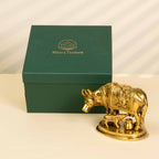 Pure Brass Kamdhenu