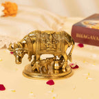 Pure Brass Kamdhenu