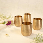 Ambar Pakshi Pure Brass Glass